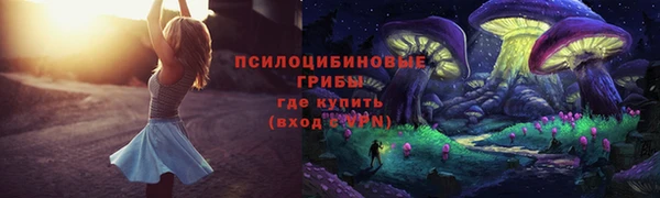соль курить ск Белокуриха