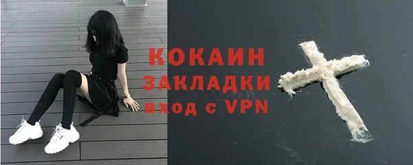 соль курить ск Белокуриха